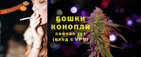 прущие грибы Белоозёрский