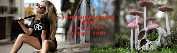 прущие грибы Белоозёрский
