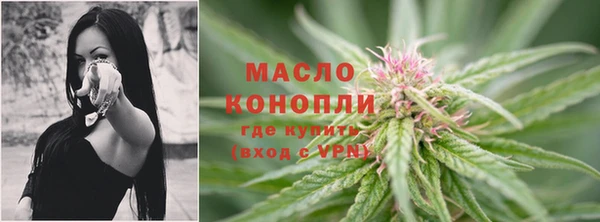 дмт Богданович