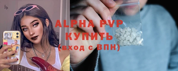 ECSTASY Богородицк