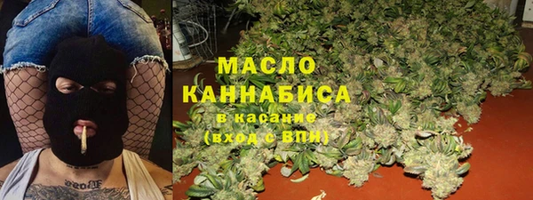 ECSTASY Богородицк