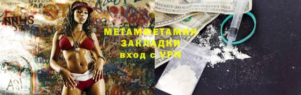 дмт Богданович