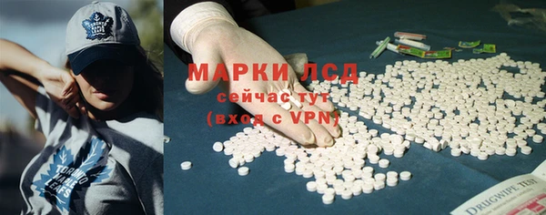 ECSTASY Богородицк