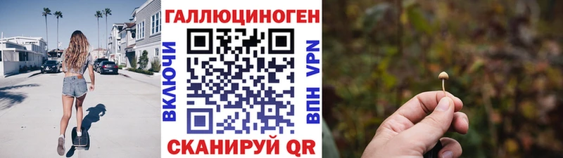 Псилоцибиновые грибы Psilocybine cubensis  Белогорск 